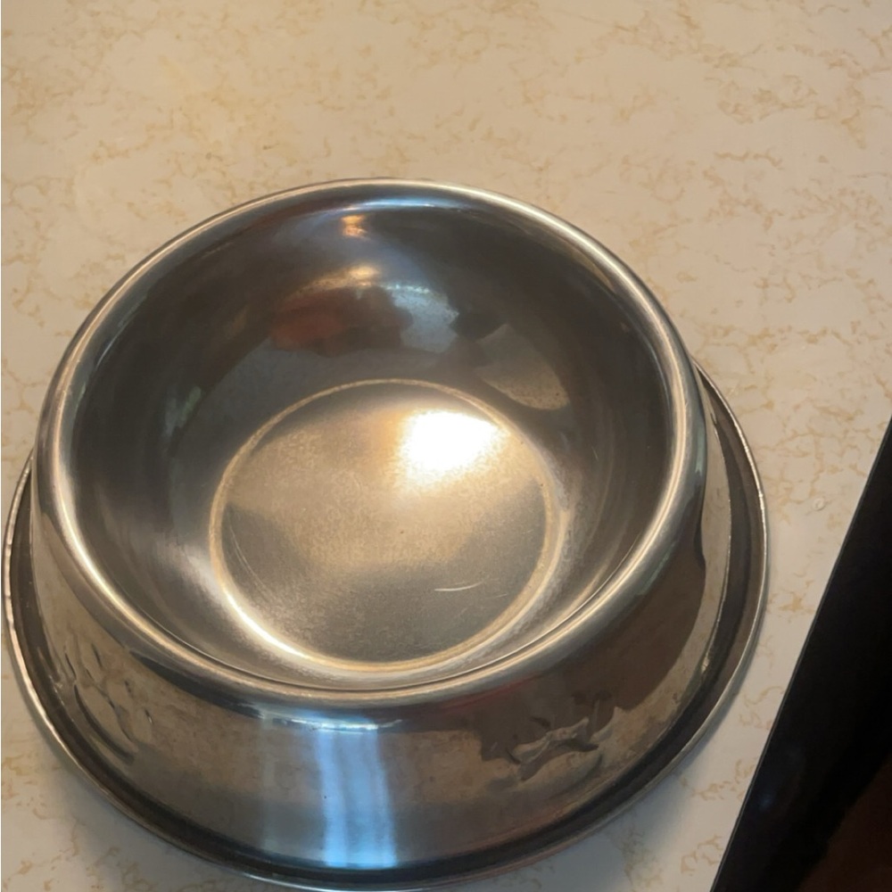 Small pet food bowl
